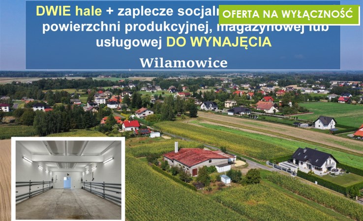 hala na wynajem - Wilamowice, Widok